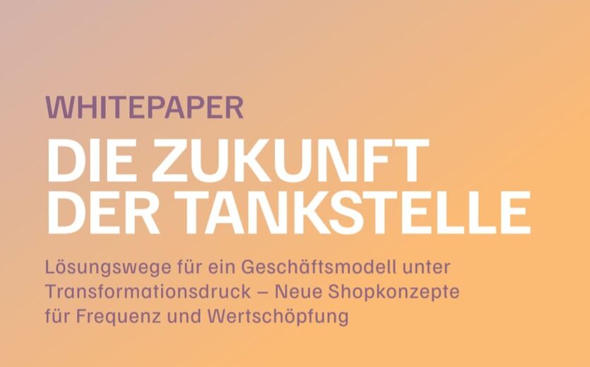 Artikelbild zu Artikel Hilfe bei der Markttransformation